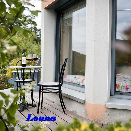 Appartements 5 Personnes Maya Et Louna Xonrupt-Longemer Ngoại thất bức ảnh