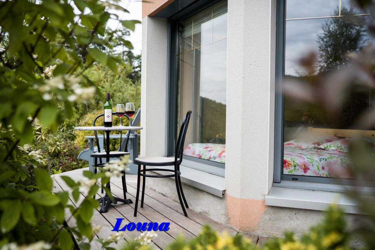 Appartements 5 Personnes Maya Et Louna Xonrupt-Longemer Ngoại thất bức ảnh