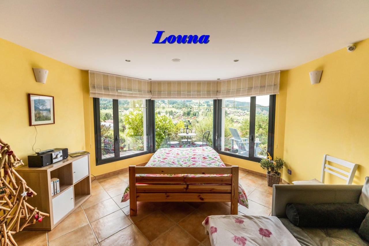 Appartements 5 Personnes Maya Et Louna Xonrupt-Longemer Ngoại thất bức ảnh