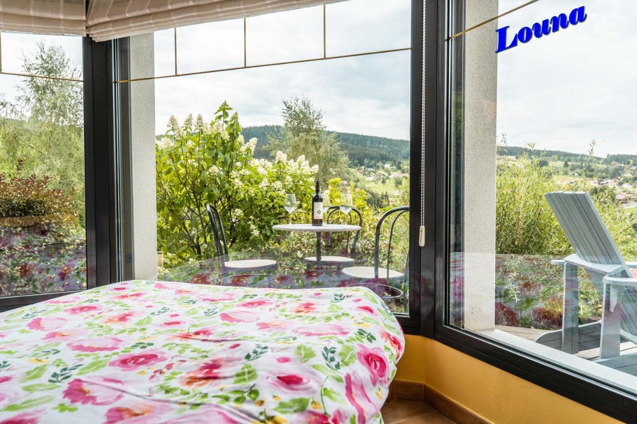 Appartements 5 Personnes Maya Et Louna Xonrupt-Longemer Ngoại thất bức ảnh