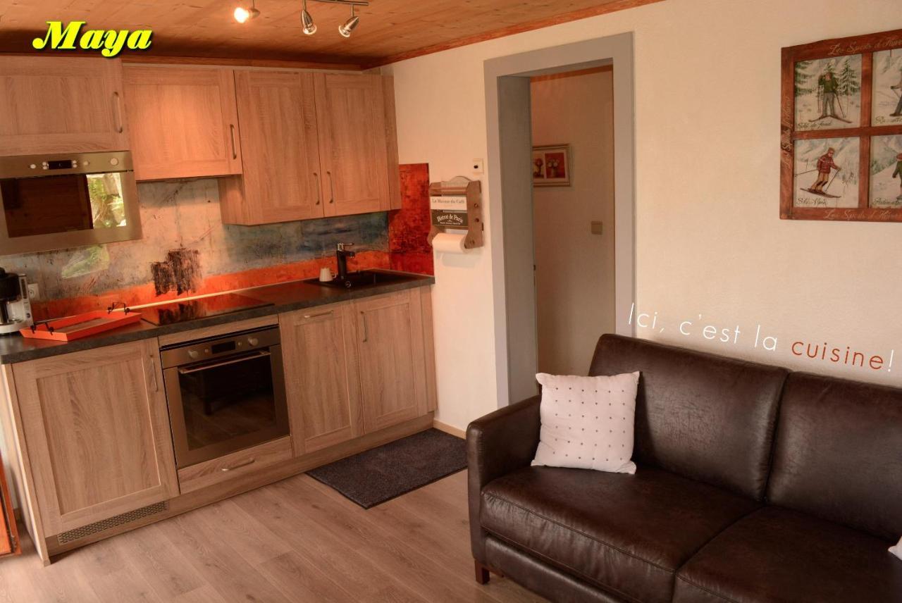Appartements 5 Personnes Maya Et Louna Xonrupt-Longemer Ngoại thất bức ảnh