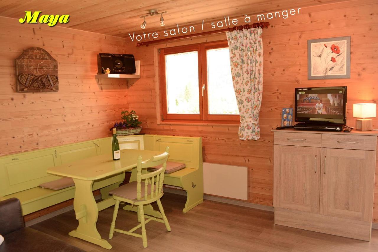 Appartements 5 Personnes Maya Et Louna Xonrupt-Longemer Ngoại thất bức ảnh